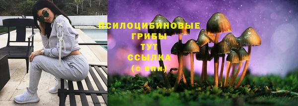 героин Бородино